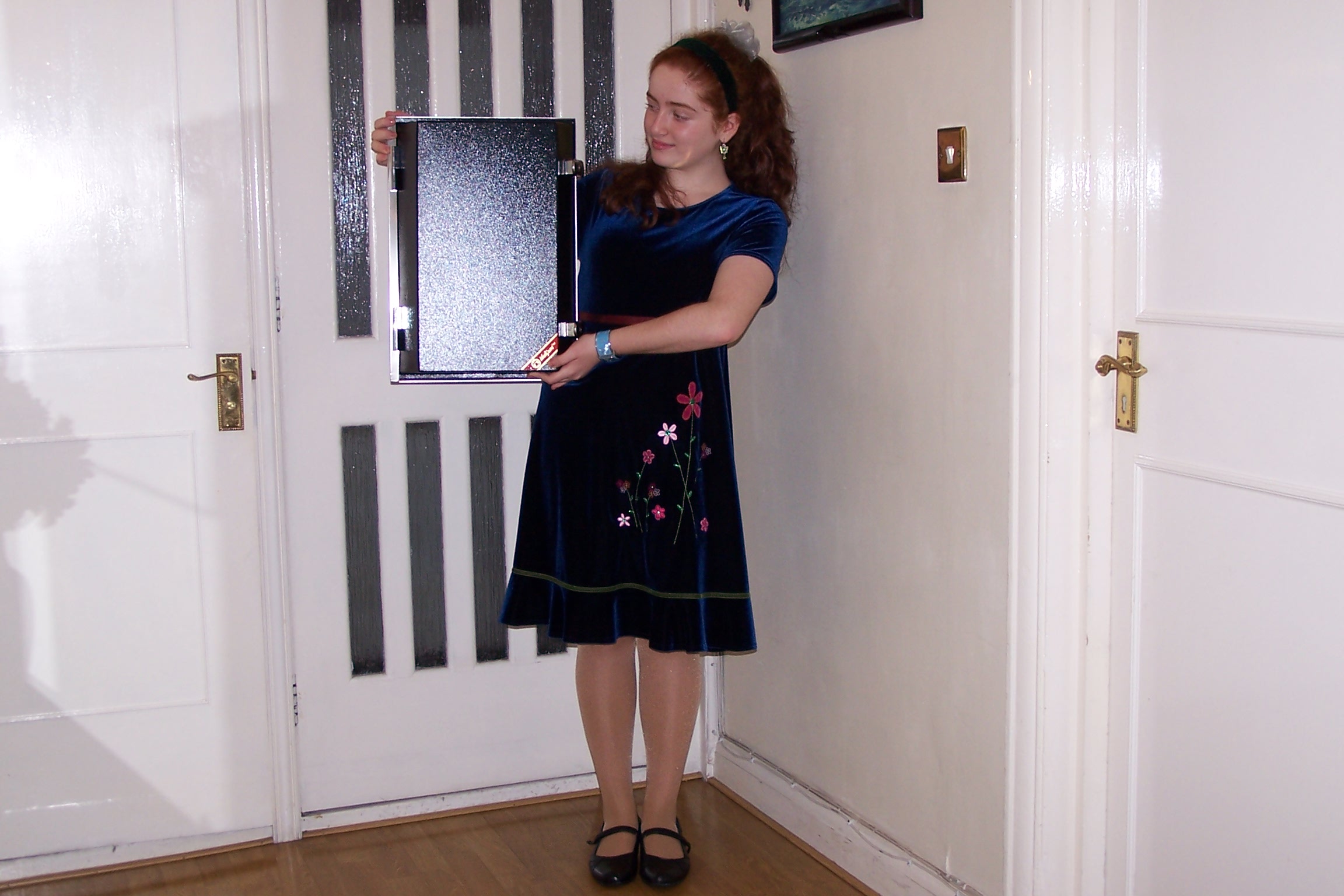 IdealGuard™/SE – Deluxe, More Capacious, Enhanced Security & Eco Letterbox Attachment (Black) - Image 8